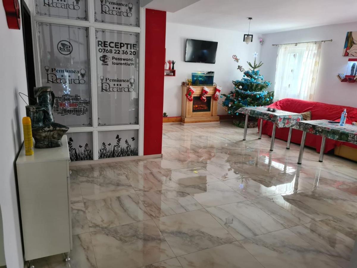 Pensiunea Riccardo Braşov Buitenkant foto