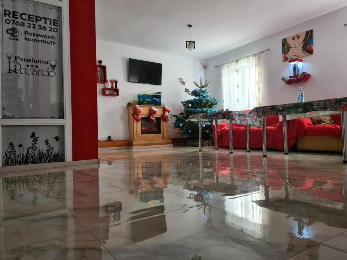 Pensiunea Riccardo Braşov Buitenkant foto